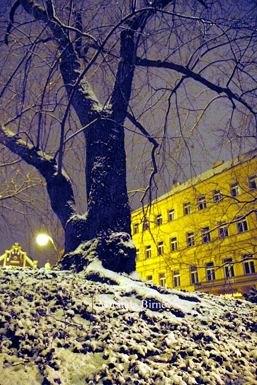 Karoliny Svetlé.jpg