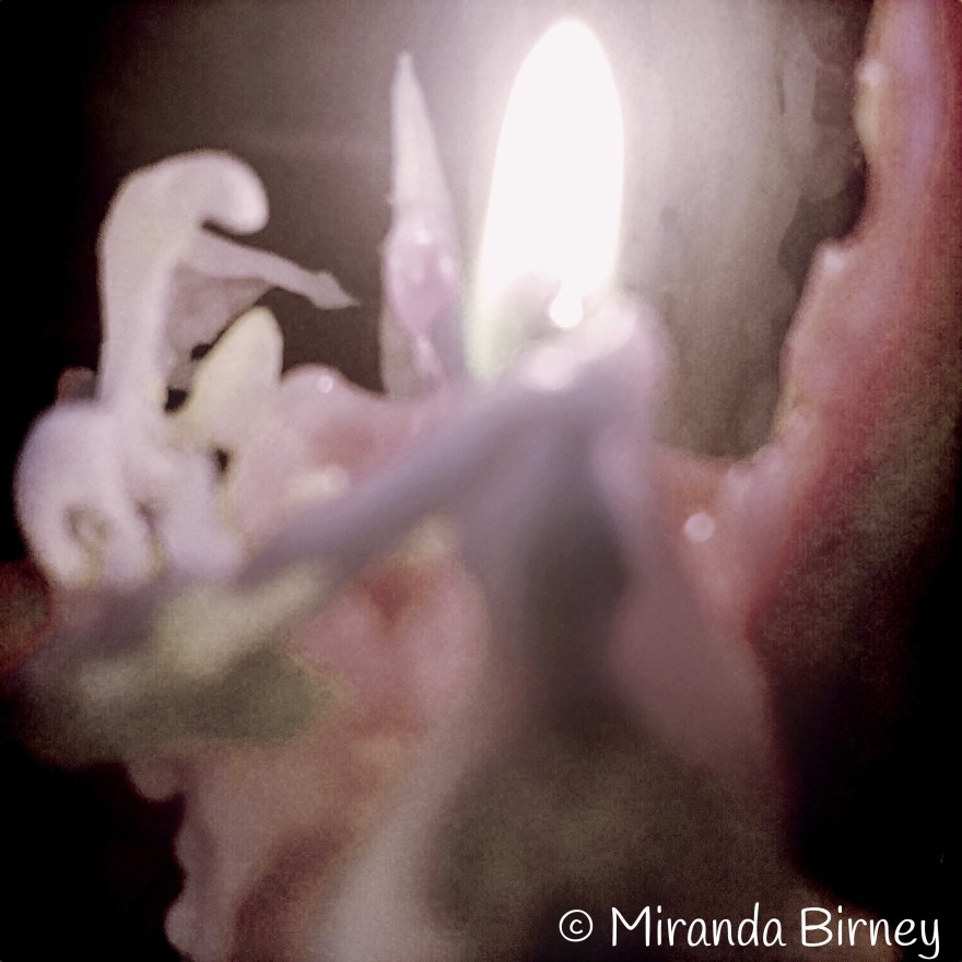 6D188F8B-6C5F-434C-B601-7E5050D37299