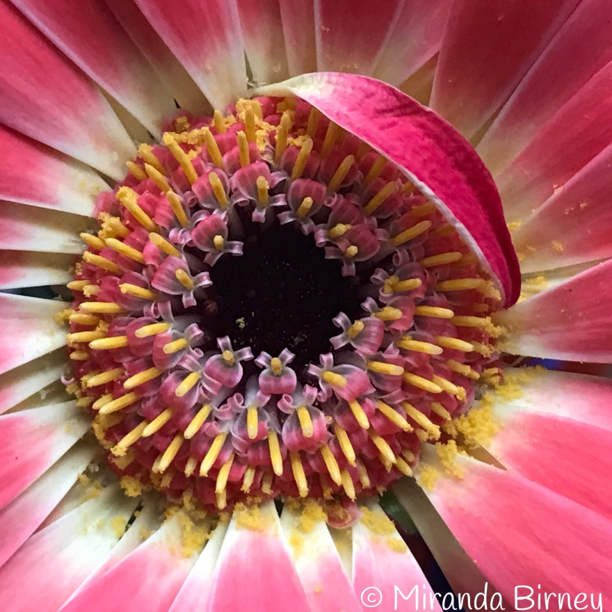 AE5B238F-7FE1-4BD7-BDA7-CEF14F39BE2F