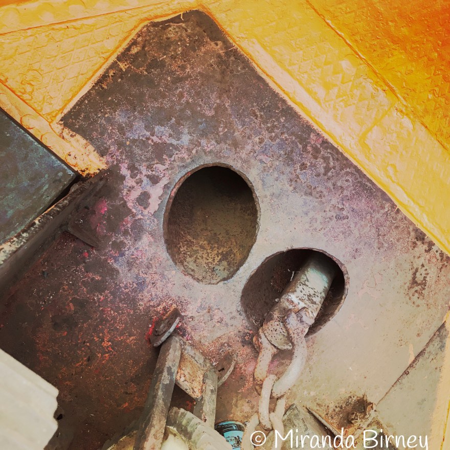 C1667BFF-C9B9-447E-BAC4-746B2ED667AC