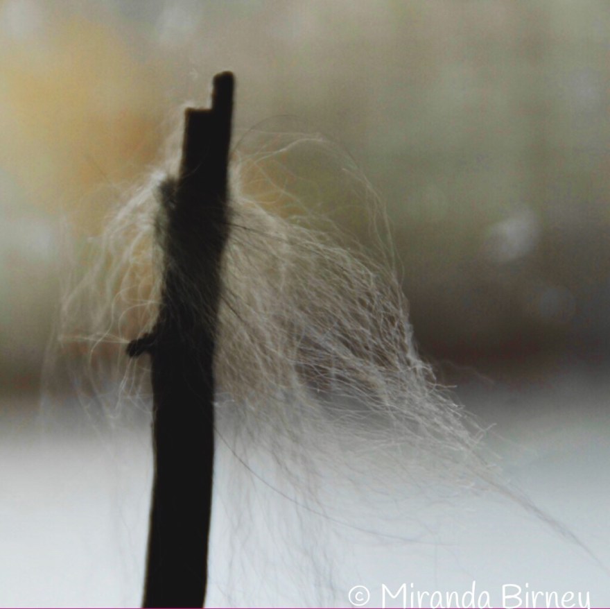 CE6397BB-39B1-4D67-BB2A-D991F7AEB856