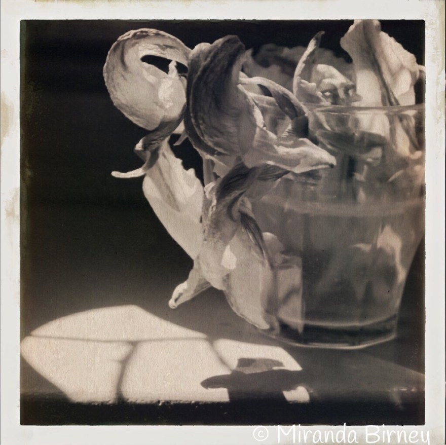 F48AC498-8ECF-4545-90C6-9EFE3C7F9803