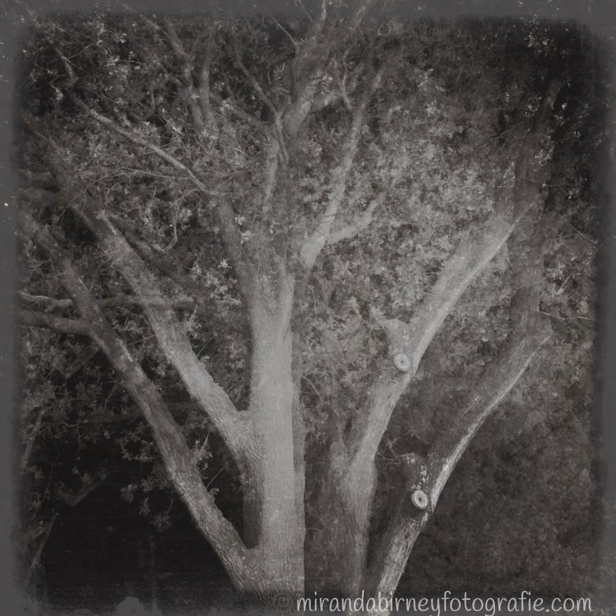 2EE6B558-C940-48F4-BB54-A941ED2C8C42