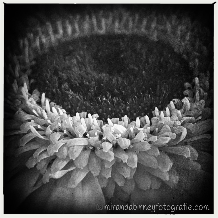 6A1C9740-FC78-4179-A8AF-4959E1633CC6