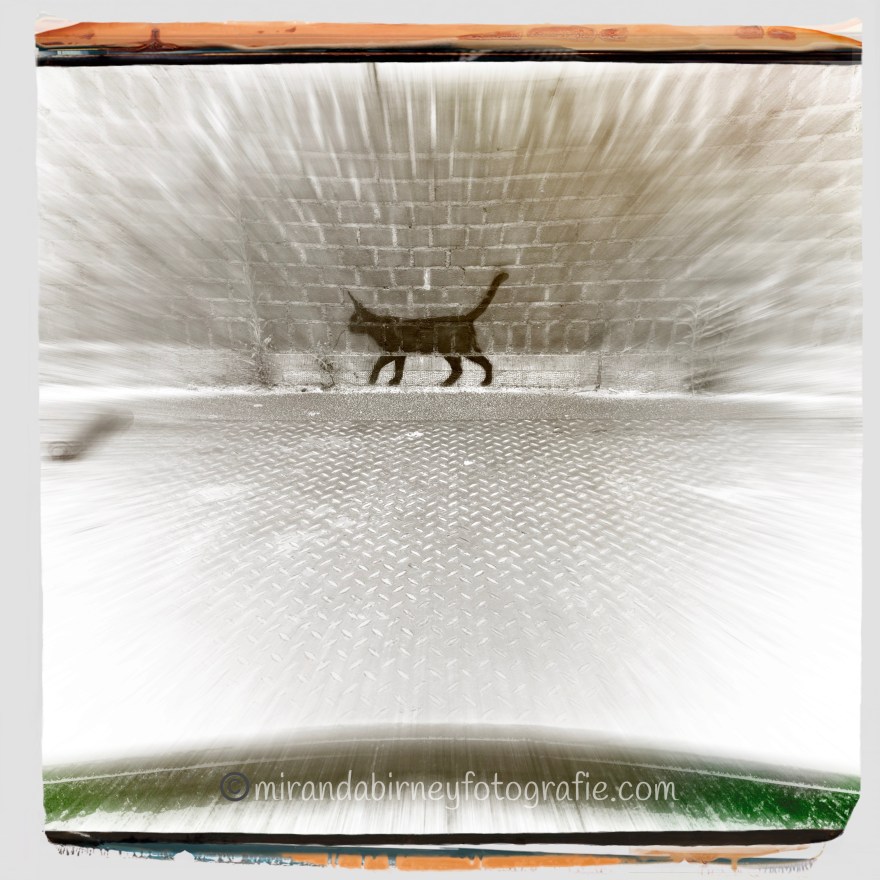 75A1F780-0680-4296-A086-9845E5E6A3EB