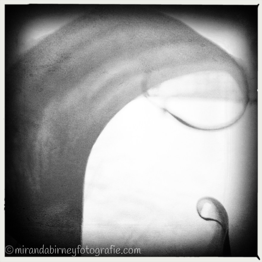 AE2477E6-0235-4B26-9B2F-1CCD41D685B7