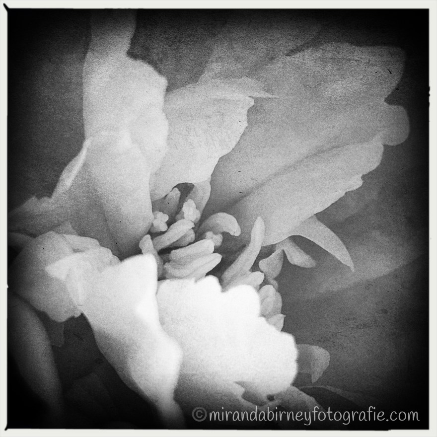 FB76AB26-AF6E-4ADB-B42B-1B8962B8D775