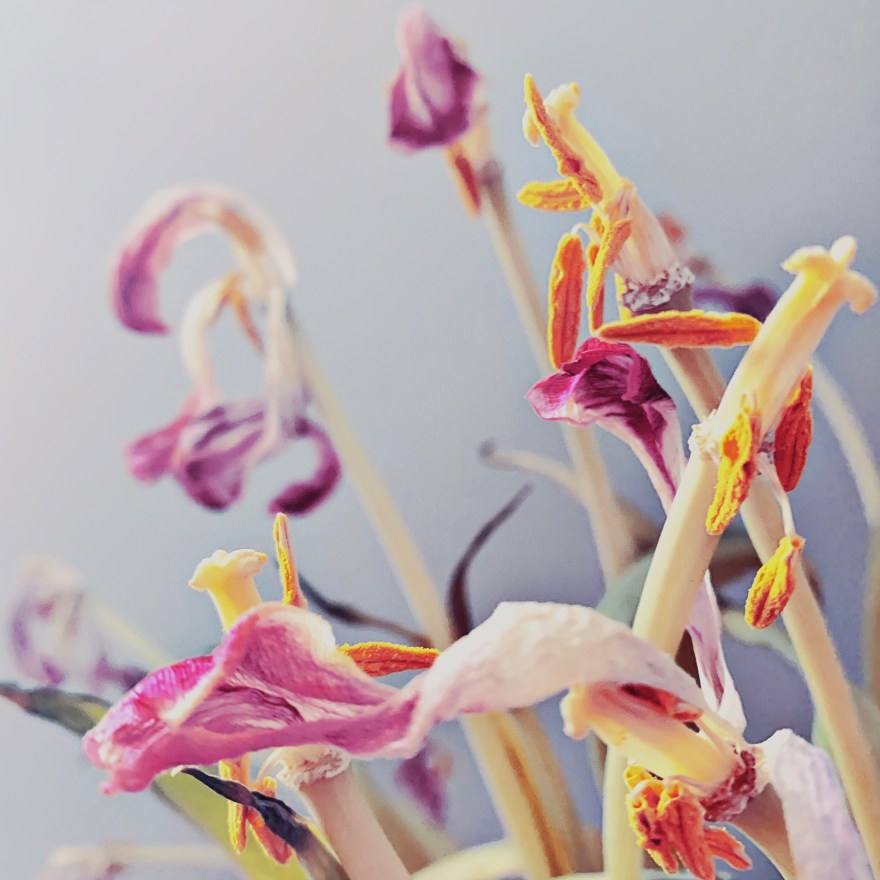 HipstamaticPhoto-602684634.118753