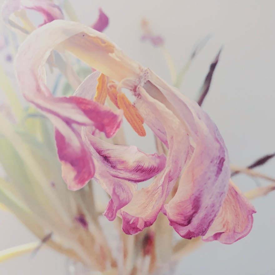 HipstamaticPhoto-602684573.227180